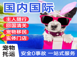 朝阳航空空运国际宠物托运 【国